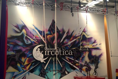 Circotica Circus School